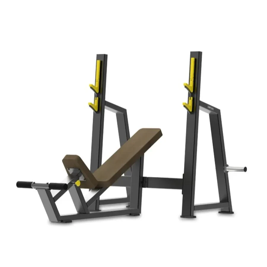 Olympic Incline Bench – Daily Youth
