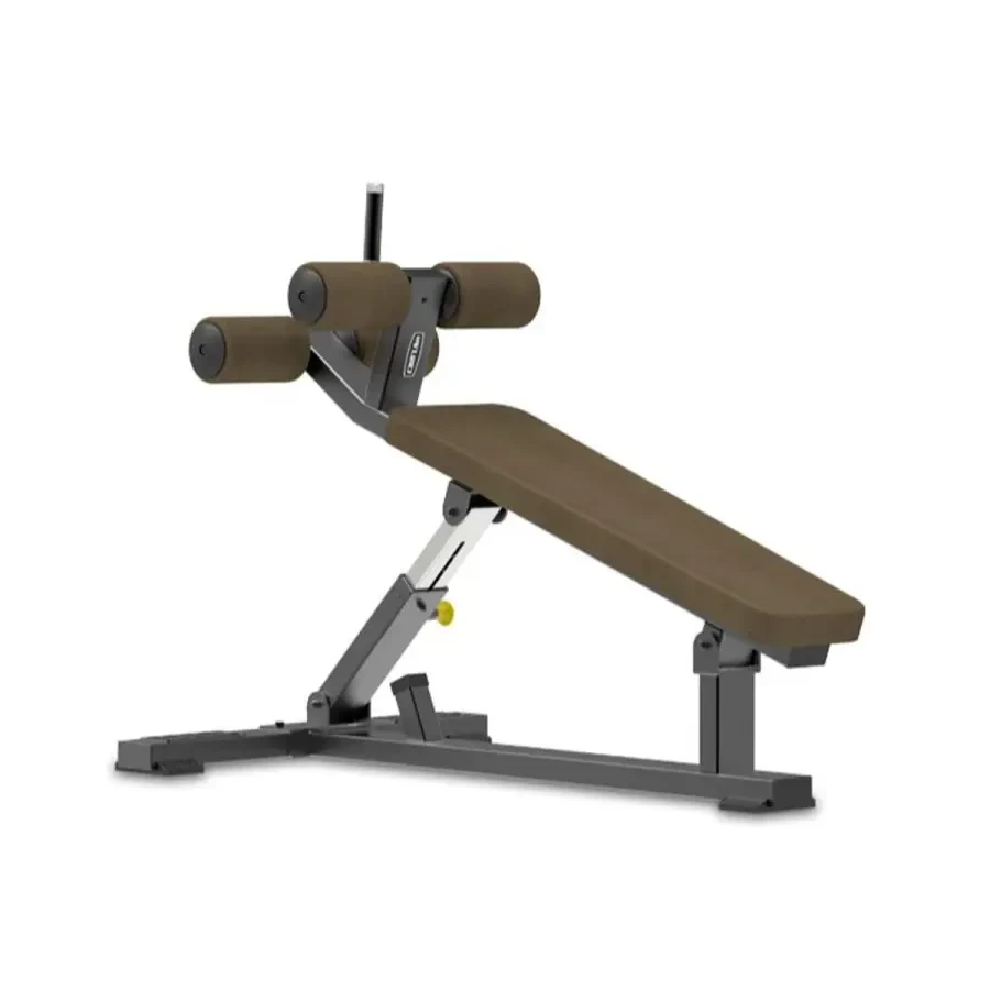 Adjustable Sit up Bench – Daily Youth – FB8029-Alphaa